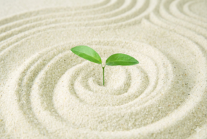 スタートライン